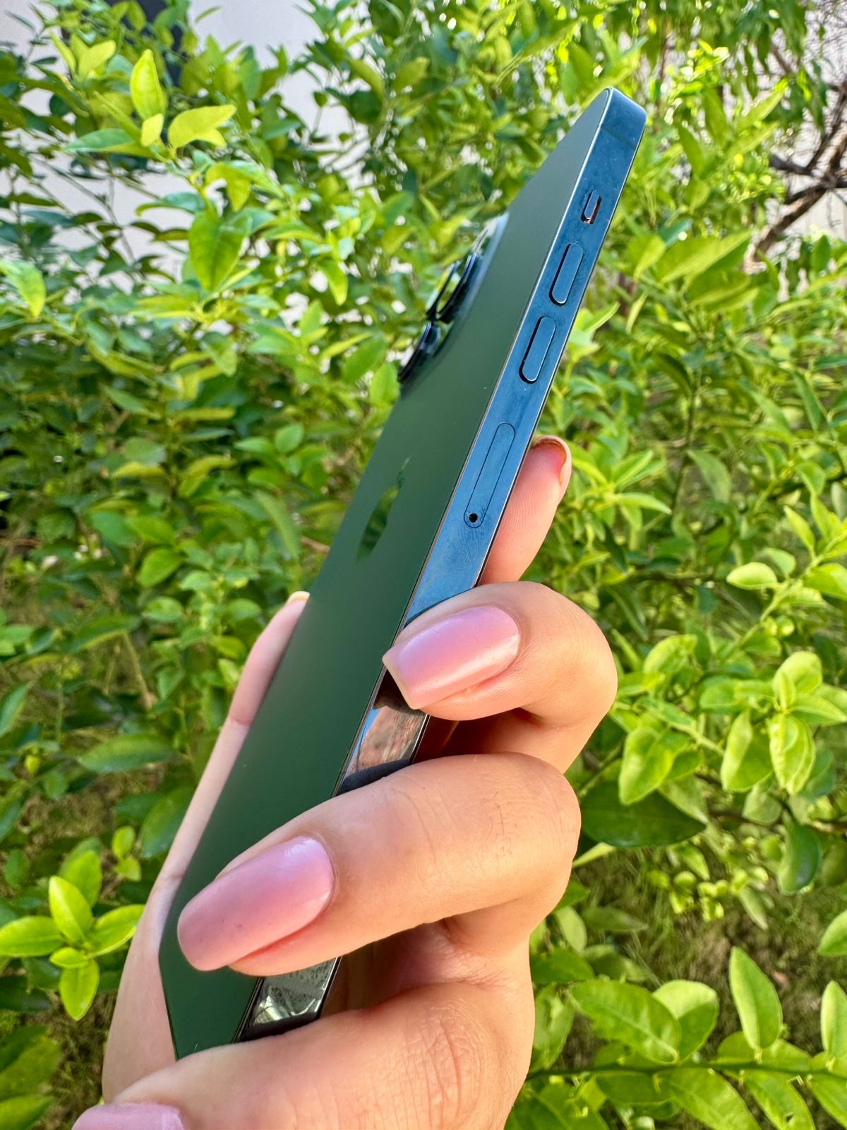 iPhone 13 Pro Max - 128GB, 84%, Green