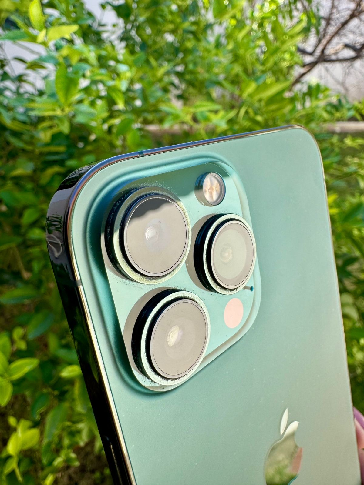 iPhone 13 Pro Max - 128GB, 84%, Green