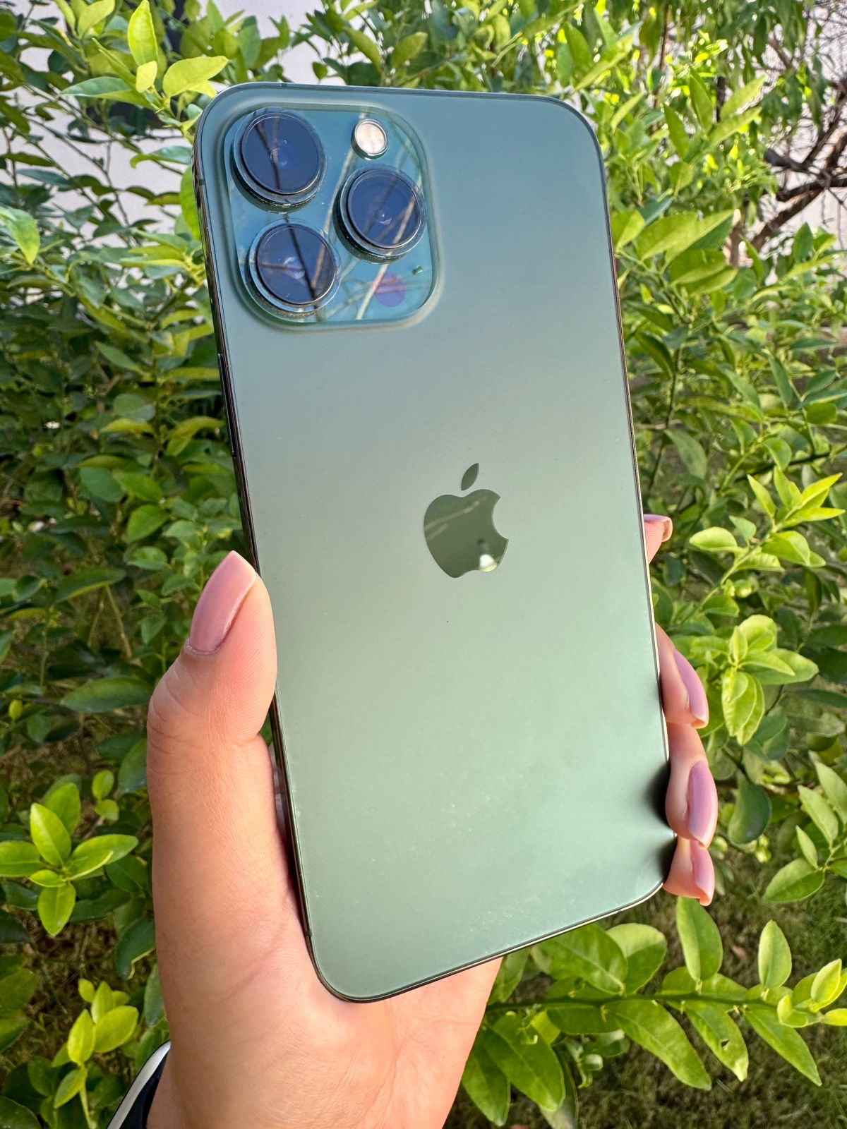 iPhone 13 Pro Max - 128GB, 84%, Green